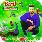 Bird Photo Editor