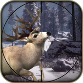 Animal Shooting Hunt In Forest 3D icon