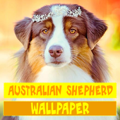 Australian Shepherd Dog Wallpaper icon