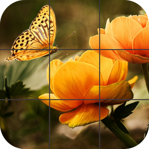 Butterfly Jigsaw Puzzles icon