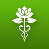 Holistic Healing Studio on 9Apps