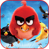 Angry Bird Wallpapers icon