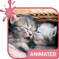 Cute Kittens Animated Keyboard   Live Wallpaper on 9Apps