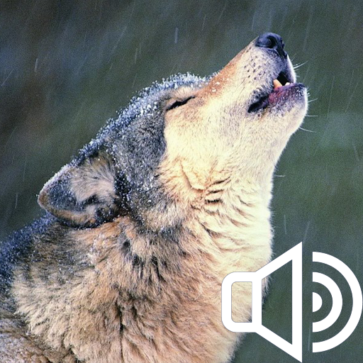 Howl of a wolf. Collection of sounds icon