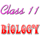 Class 11 Biology Solutions icon