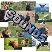 Guess The Animal - Sounds icon