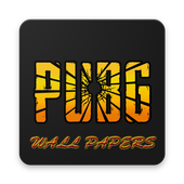 PUBG wallpapers HD icon