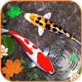 3D Koi Fish Wallpaper HD - 3D Fish Live Wallpapers