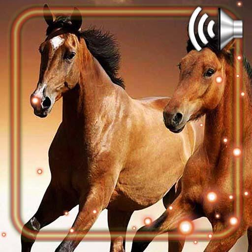 Horses Sounds Live Wallpaper icon