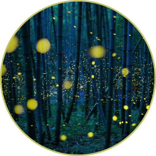 Night Sounds - Nature sounds icon