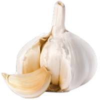 Benefits of Garlic on 9Apps