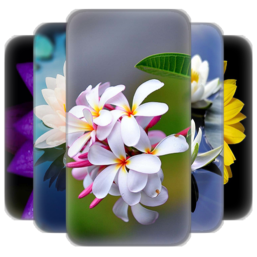 Flower Wallpaper icon