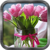 Tulips Live Wallpaper icon