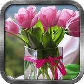 Tulips Live Wallpaper on 9Apps