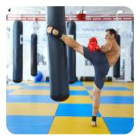 Kickboxing training