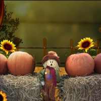 Autumn Autkins - Original on 9Apps