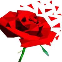 Flower Puzzle Game Poly Art 3D