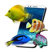 FISH LIVE WALLPAPER 2016 on 9Apps