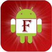 Plugin for Flash Player icon