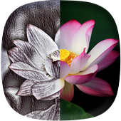 Photo Sketch Maker - Sketch Effect Photo Free icon