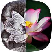 Photo Sketch Maker - Sketch Effect Photo Free