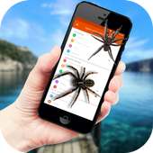 Spider in Phone Funny Joke
