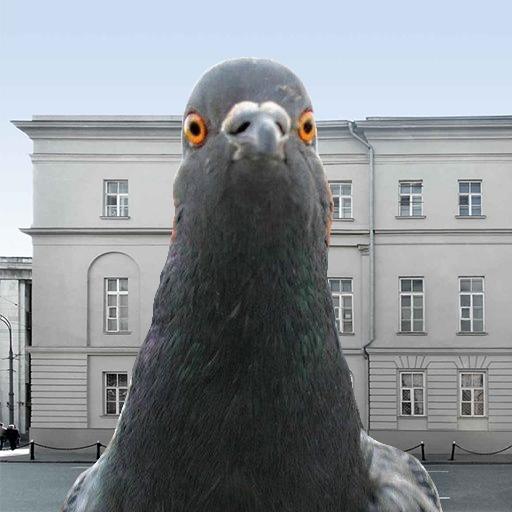 Симулятор Голубя 3D иконка