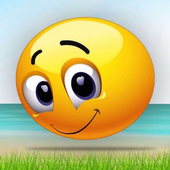 Smiley Wings Fly 2018 - NEW icon