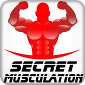 Les Secrets de La Musculation