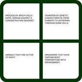 BIOLOGY FLASH CARD icon
