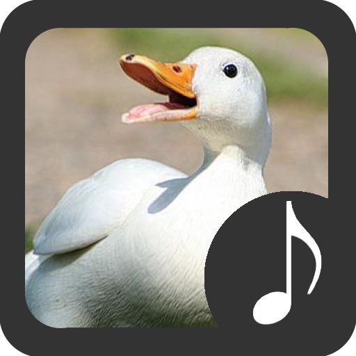 Duck Sounds icon