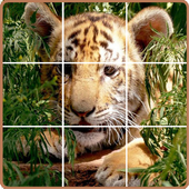 Classic Puzzle Jigsaw : Animals icon