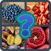 4 Pictures 1 Word icon