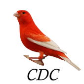 Cantos del Canario icon