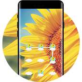 Sunflower APP Lock Theme Flower Pin Lock Screen