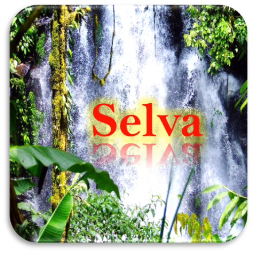 Images of the jungle - Natural landscapes in HD icon