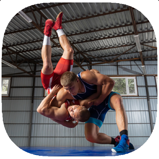 Wrestling Training Guide icon