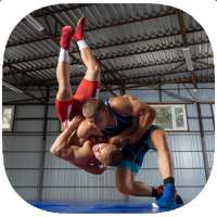 Wrestling Training Guide