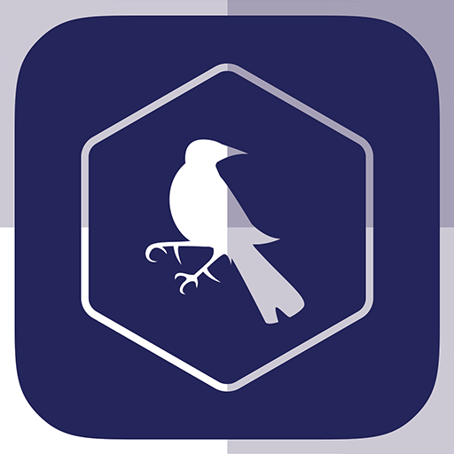 SF - Tottenham Edition icon