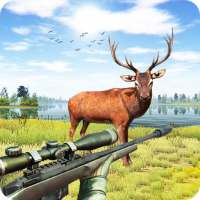 Forest Animal Hunting Games