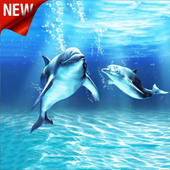 Dolphins Lock Screen Walpapers icon
