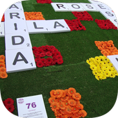 120 Photo Crosswords icon