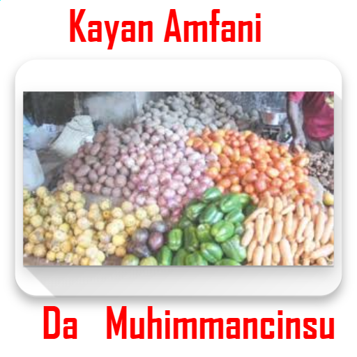 Kayan Amfani Da Muhimmancinsu icon