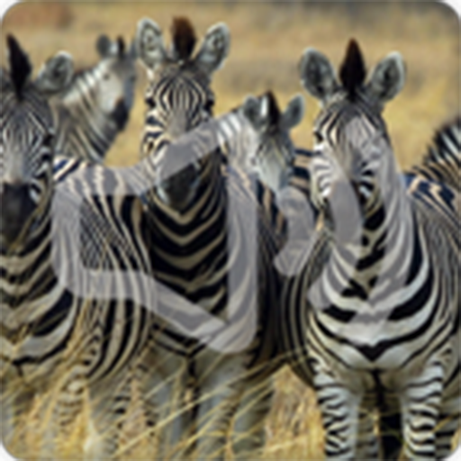 Zebra Sounds Ringtone icon