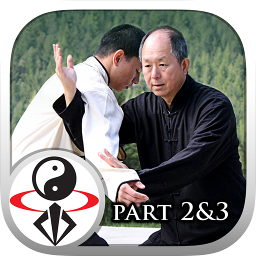 Yang Tai Chi for Beginners 2&amp;3 icon