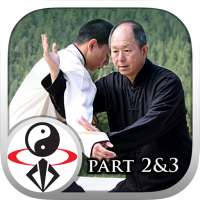 Yang Tai Chi for Beginners 2&3