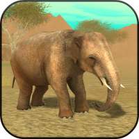 Wild Elephant Sim 3D