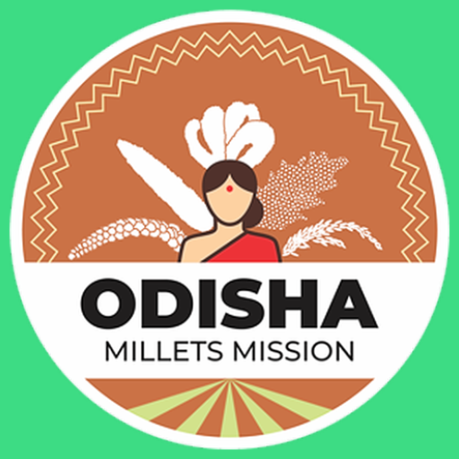 OMM Data Collection icon