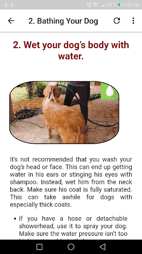 How To wash a Dog screenshot 4