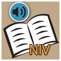 NIV BIBLE FREE DOWNLOAD